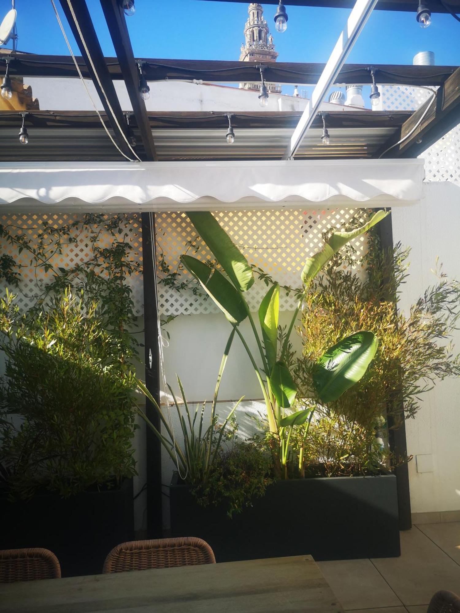 Duplex Luxury Giralda With Terrace Apartment Seville Luaran gambar
